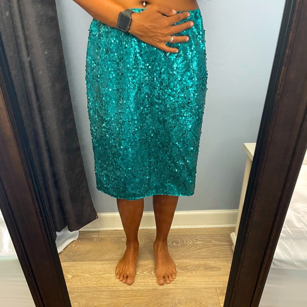 Garnet Hill size 6 sequin skirt